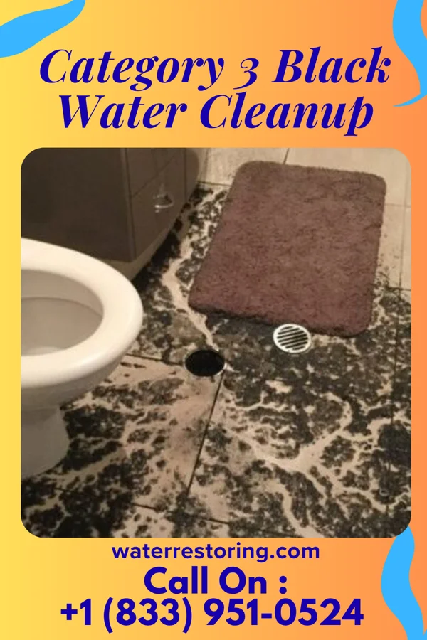 Category 3 Black Water Cleanup in Rhodes, MT