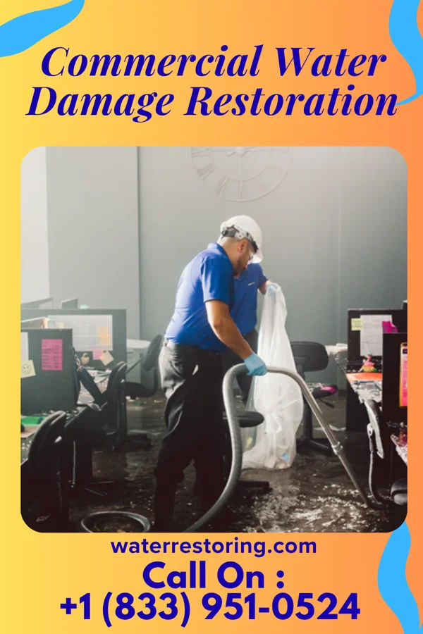 Commercial Water Damage Restoration in Rhodes, MT