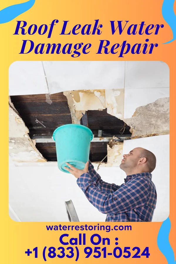 Roof Leak Water Damage Repair in Rhodes, MT